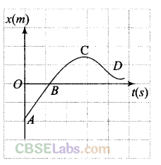 NCERT Exemplar Class 11 Physics Chapter 2 Motion in a Straight Line Img 27