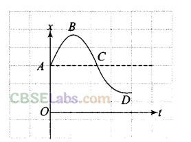 NCERT Exemplar Class 11 Physics Chapter 2 Motion in a Straight Line Img 28