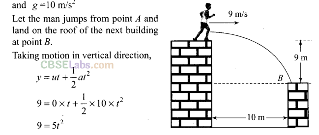 NCERT Exemplar Class 11 Physics Chapter 2 Motion in a Straight Line Img 41