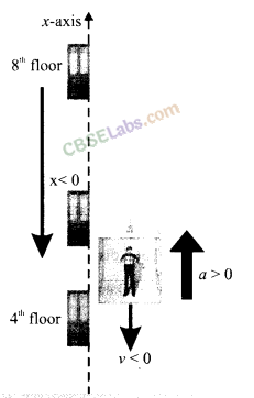 NCERT Exemplar Class 11 Physics Chapter 2 Motion in a Straight Line Img 9