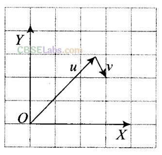 NCERT Exemplar Class 11 Physics Chapter 3 Motion in a Plane Img 13