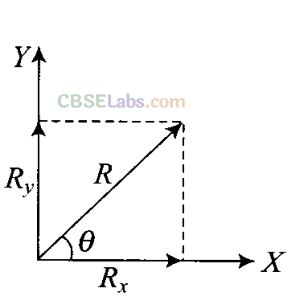 NCERT Exemplar Class 11 Physics Chapter 3 Motion in a Plane Img 15
