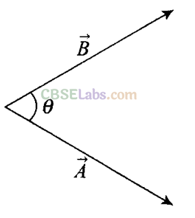 NCERT Exemplar Class 11 Physics Chapter 3 Motion in a Plane Img 3