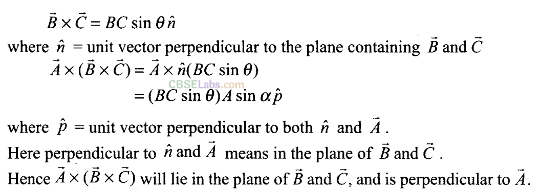 NCERT Exemplar Class 11 Physics Chapter 3 Motion in a Plane Img 41