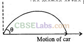 NCERT Exemplar Class 11 Physics Chapter 3 Motion in a Plane Img 42