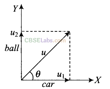 NCERT Exemplar Class 11 Physics Chapter 3 Motion in a Plane Img 43