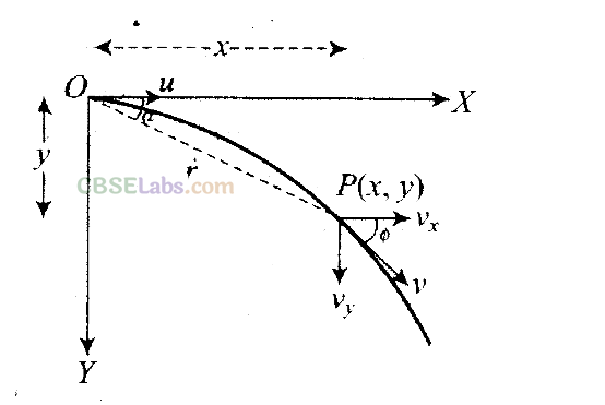 NCERT Exemplar Class 11 Physics Chapter 3 Motion in a Plane Img 49