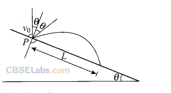 NCERT Exemplar Class 11 Physics Chapter 3 Motion in a Plane Img 72