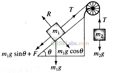 NCERT Exemplar Class 11 Physics Chapter 4 Laws of Motion Img 24