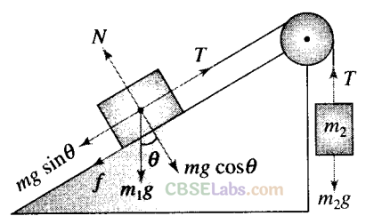 NCERT Exemplar Class 11 Physics Chapter 4 Laws of Motion Img 27