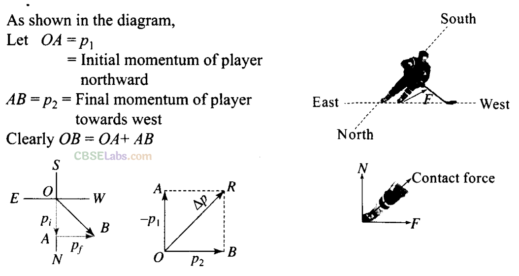 NCERT Exemplar Class 11 Physics Chapter 4 Laws of Motion Img 7