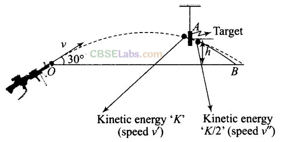 NCERT Exemplar Class 11 Physics Chapter 5 Work, Energy and Power Img 24