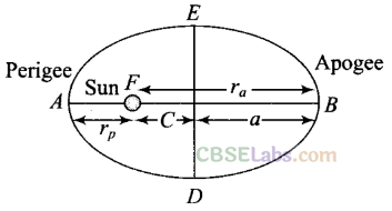 NCERT Exemplar Class 11 Physics Chapter 7 Gravitation Img 49