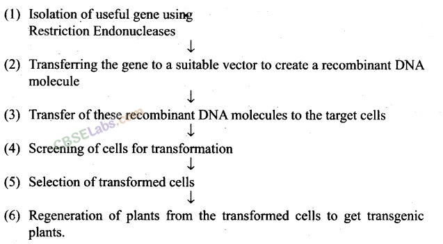 NCERT Exemplar Class 12 Biology Chapter 12 Biotechnology and its Applications Img 1