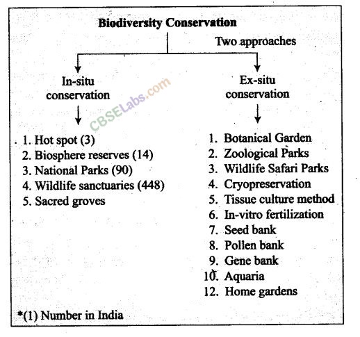 NCERT Exemplar Class 12 Biology Chapter 15 Biodiversity and Conservation Img 4