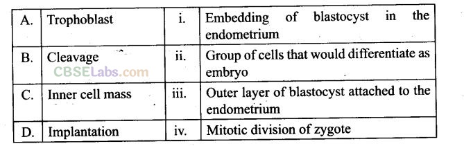 NCERT Exemplar Class 12 Biology Chapter 3 Human Reproduction Img 4