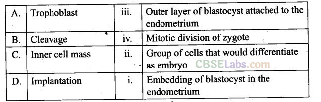 NCERT Exemplar Class 12 Biology Chapter 3 Human Reproduction Img 5