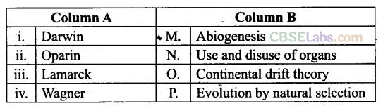 NCERT Exemplar Class 12 Biology Chapter 7 Evolution - 3