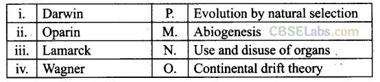 NCERT Exemplar Class 12 Biology Chapter 7 Evolution - 4