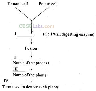 NCERT Exemplar Class 12 Biology Chapter 9 Strategies for Enhancement in  Food Production - Learn CBSE
