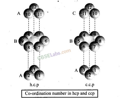 NCERT Exemplar Class 12 Chemistry Chapter 1 Solid State Img 26
