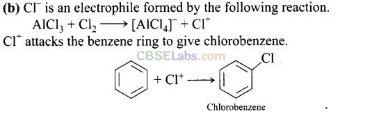 NCERT Exemplar Class 12 Chemistry Chapter 10 Haloalkanes and Haloarenes Img 17