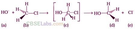 NCERT Exemplar Class 12 Chemistry Chapter 10 Haloalkanes and Haloarenes Img 37