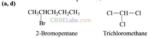 NCERT Exemplar Class 12 Chemistry Chapter 10 Haloalkanes and Haloarenes Img 39