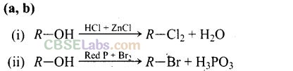 NCERT Exemplar Class 12 Chemistry Chapter 10 Haloalkanes and Haloarenes Img 44