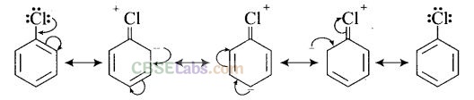 NCERT Exemplar Class 12 Chemistry Chapter 10 Haloalkanes and Haloarenes Img 48