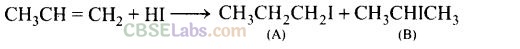 NCERT Exemplar Class 12 Chemistry Chapter 10 Haloalkanes and Haloarenes Img 52