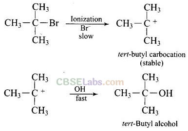 NCERT Exemplar Class 12 Chemistry Chapter 10 Haloalkanes and Haloarenes Img 76