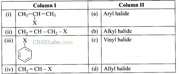 NCERT Exemplar Class 12 Chemistry Chapter 10 Haloalkanes and Haloarenes Img 83