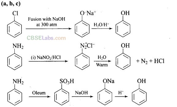 NCERT Exemplar Class 12 Chemistry Chapter 11 Alcohols, Phenols and Ethers Img 20