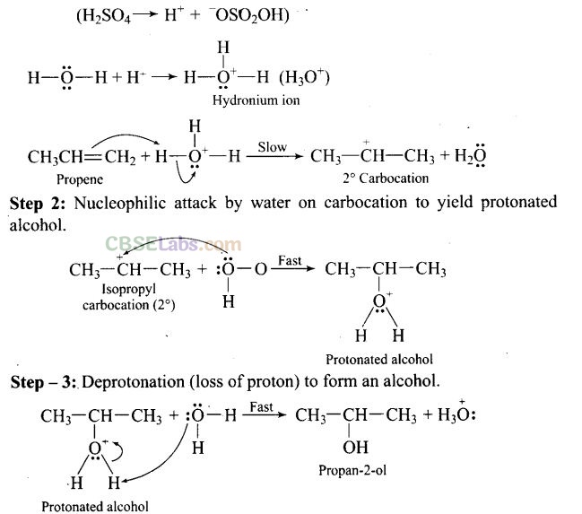 NCERT Exemplar Class 12 Chemistry Chapter 11 Alcohols, Phenols and Ethers Img 39