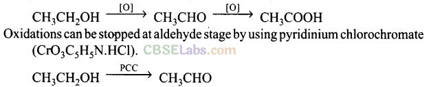 NCERT Exemplar Class 12 Chemistry Chapter 11 Alcohols, Phenols and Ethers Img 4
