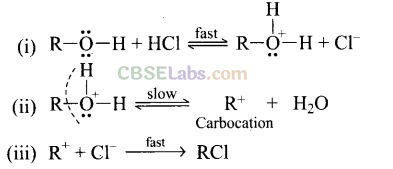 NCERT Exemplar Class 12 Chemistry Chapter 11 Alcohols, Phenols and Ethers Img 41