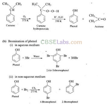 NCERT Exemplar Class 12 Chemistry Chapter 11 Alcohols, Phenols and Ethers Img 61