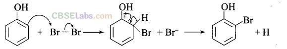 NCERT Exemplar Class 12 Chemistry Chapter 11 Alcohols, Phenols and Ethers Img 62