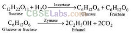 NCERT Exemplar Class 12 Chemistry Chapter 11 Alcohols, Phenols and Ethers Img 64
