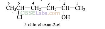 NCERT Exemplar Class 12 Chemistry Chapter 11 Alcohols, Phenols and Ethers Img 8
