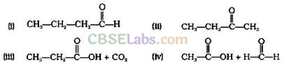 NCERT Exemplar Class 12 Chemistry Chapter 12 Aldehydes, Ketones and Carboxylic Acids Img 1