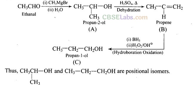 NCERT Exemplar Class 12 Chemistry Chapter 12 Aldehydes, Ketones and Carboxylic Acids Img 14