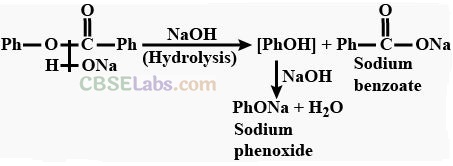 NCERT Exemplar Class 12 Chemistry Chapter 12 Aldehydes, Ketones and Carboxylic Acids Img 22