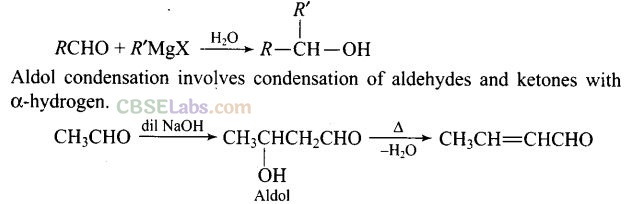 NCERT Exemplar Class 12 Chemistry Chapter 12 Aldehydes, Ketones and Carboxylic Acids Img 24