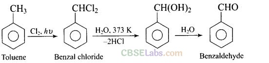 NCERT Exemplar Class 12 Chemistry Chapter 12 Aldehydes, Ketones and Carboxylic Acids Img 33