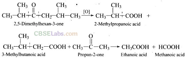 NCERT Exemplar Class 12 Chemistry Chapter 12 Aldehydes, Ketones and Carboxylic Acids Img 35