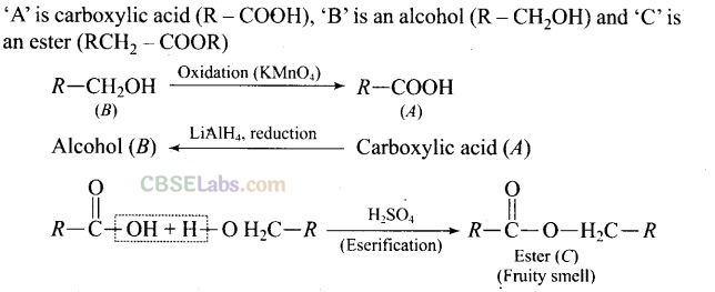 NCERT Exemplar Class 12 Chemistry Chapter 12 Aldehydes, Ketones and Carboxylic Acids Img 37