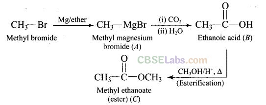 NCERT Exemplar Class 12 Chemistry Chapter 12 Aldehydes, Ketones and Carboxylic Acids Img 42