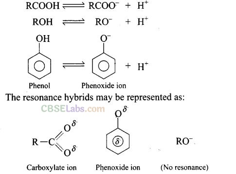NCERT Exemplar Class 12 Chemistry Chapter 12 Aldehydes, Ketones and Carboxylic Acids Img 43
